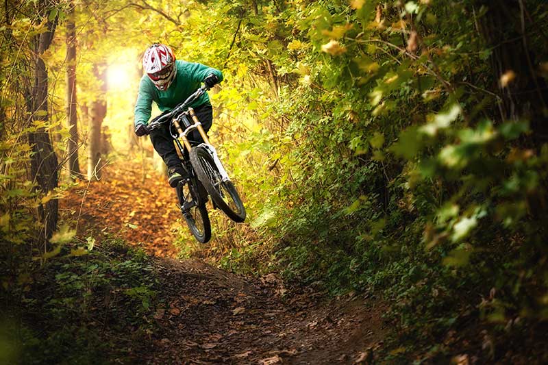 På Mountainbike i naturen